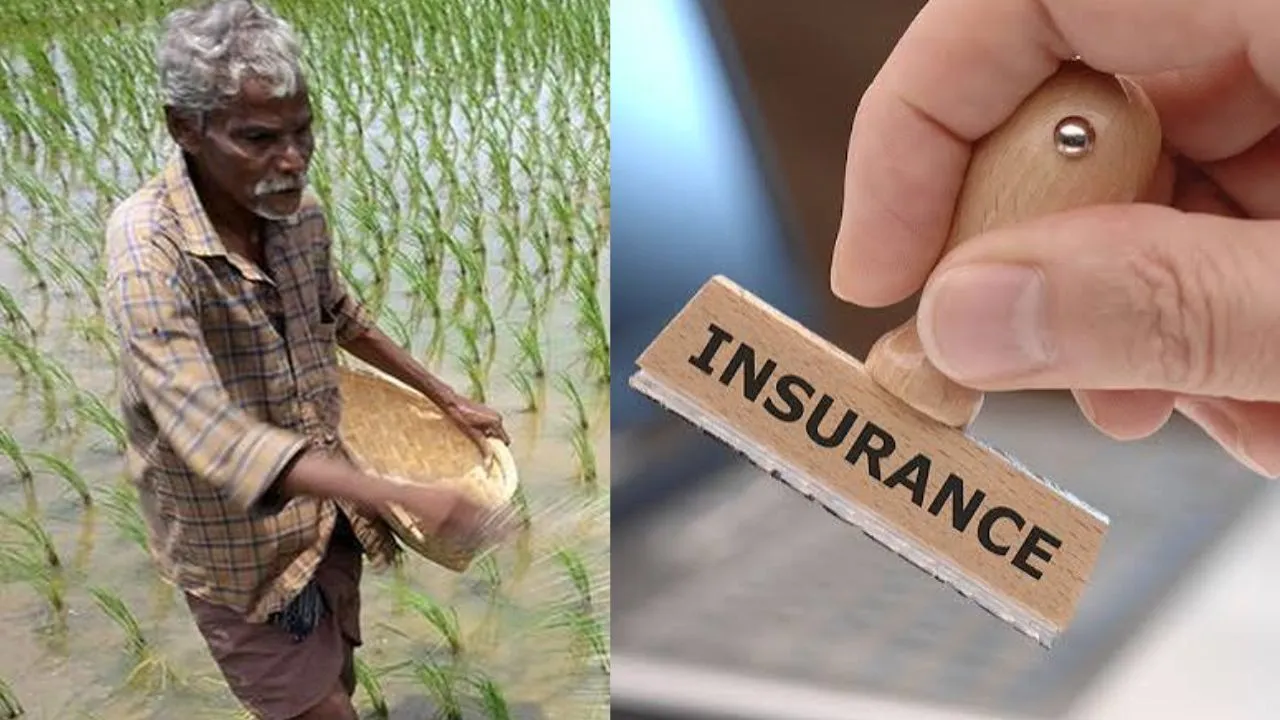 Chhattisgarh pradhanmantri fasal bima yojana farmers registration last date 31 July insurance money within 72 hours