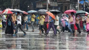 monsoon reaches Bhopal and Indore 40 districts rainfall yellow alert