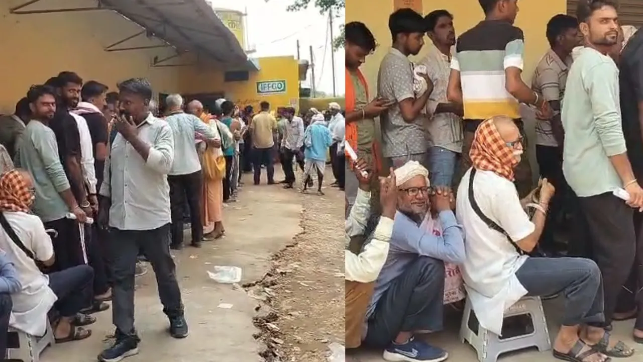 Long queues for fertilizers in Morena