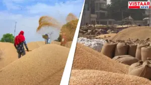 MP among top 5 in grain storage