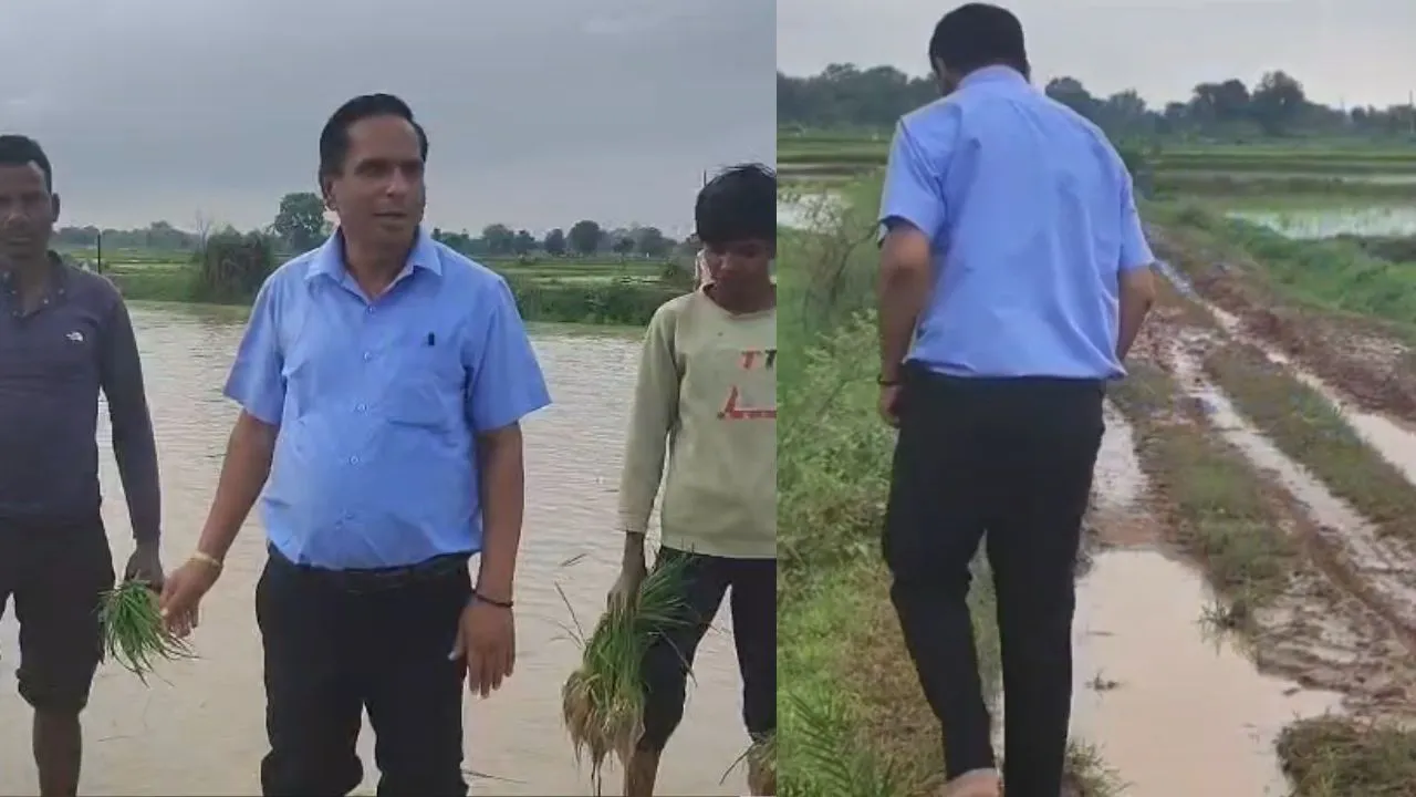 Teachers reached the fields for the children.