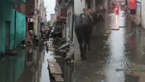 City streets submerged