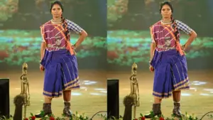 Chhattisgarh handloom