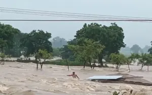 mauganji news