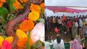 Dhar news
