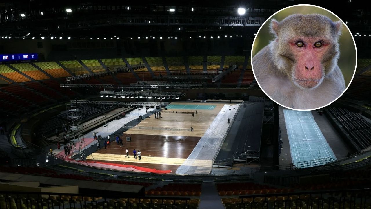 Badminton World Championship