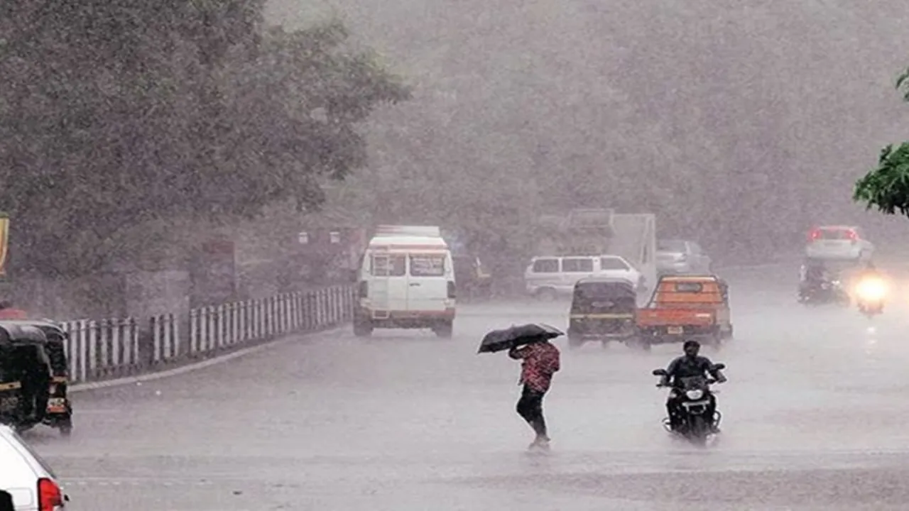 MP Weather Today