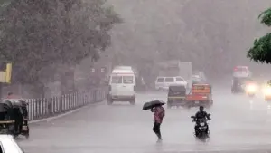 MP Weather