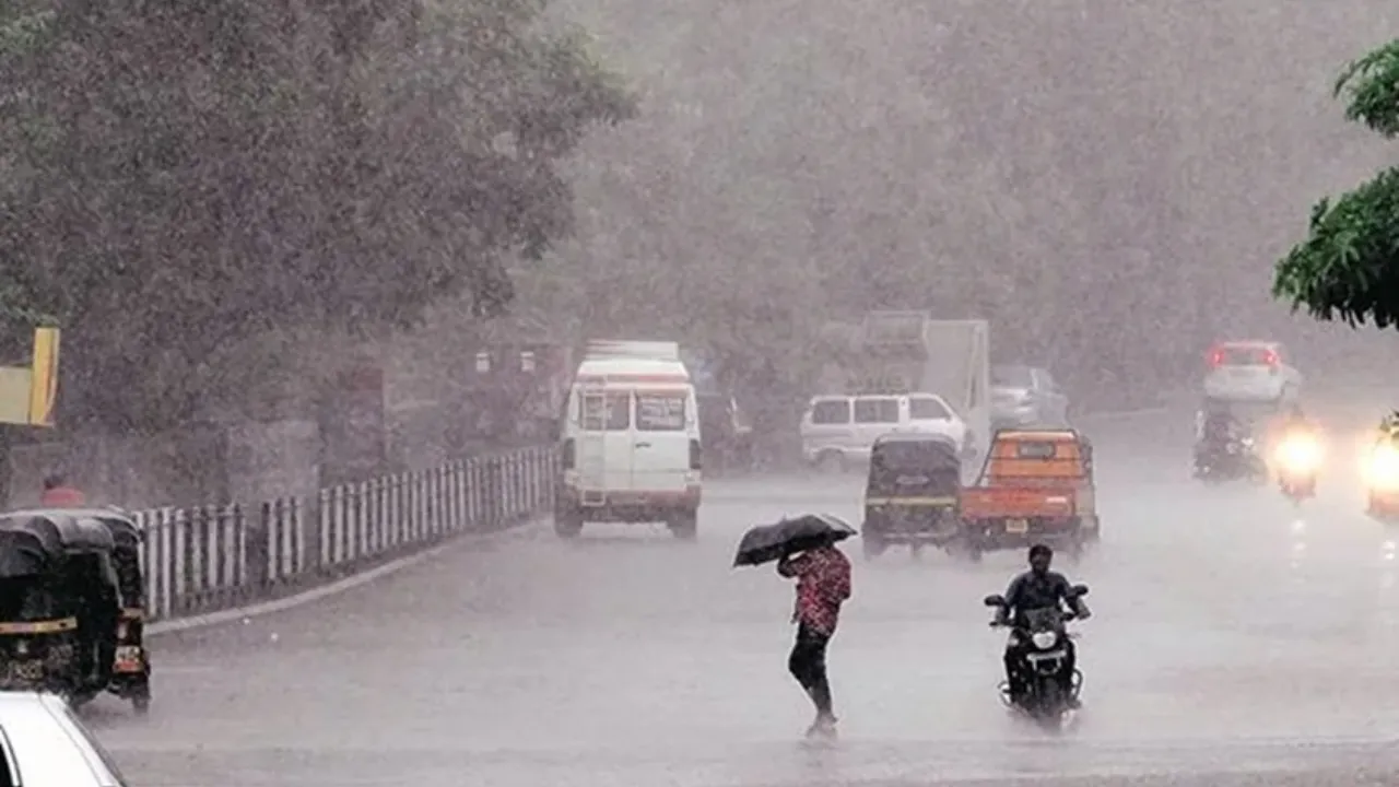 MP Weather