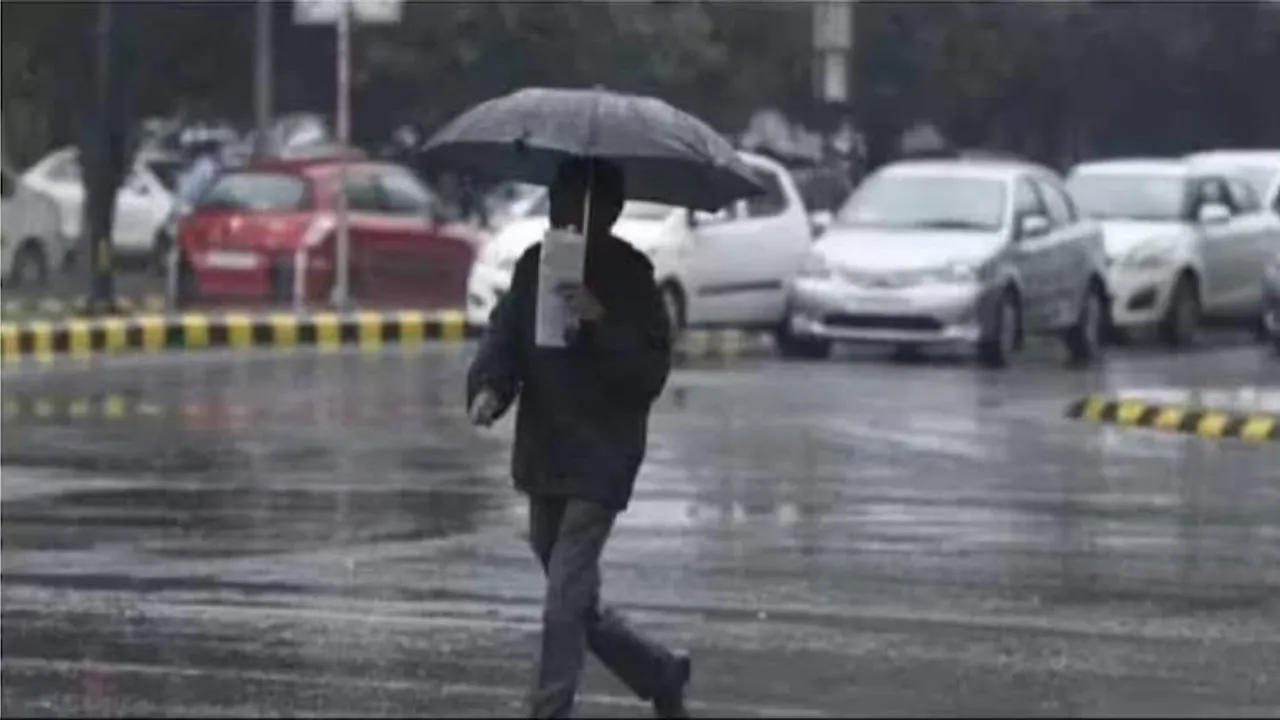 MP Weather