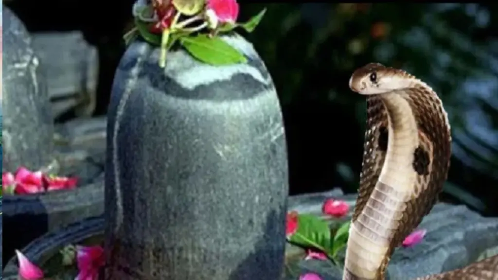 Nag Panchami 2026