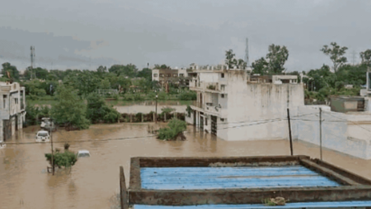 Rewa Flood News