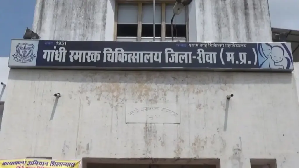 Rewa News