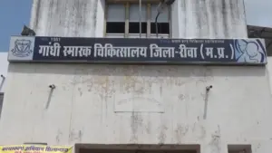 Rewa News