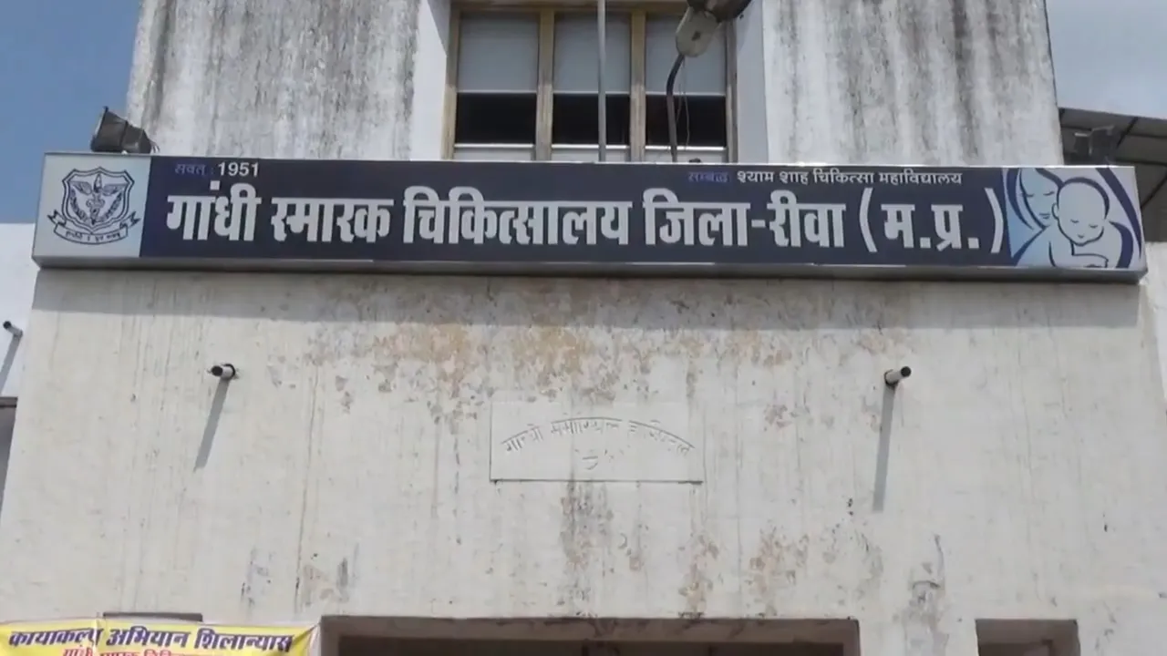 Rewa News