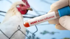 Madhya Pradesh Swine Flu Cases