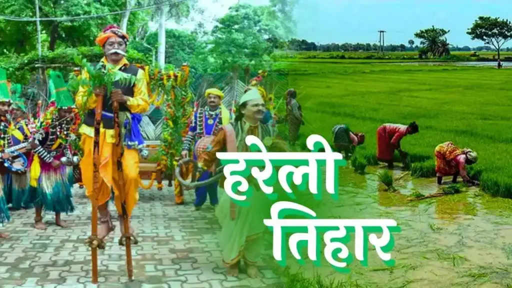 Hareli Tihar in CG