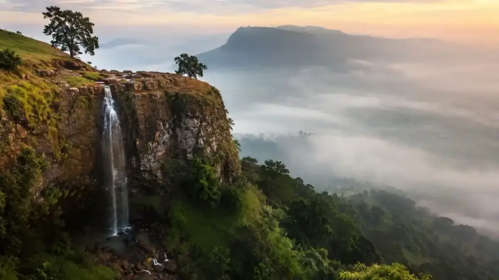 CG Tourism