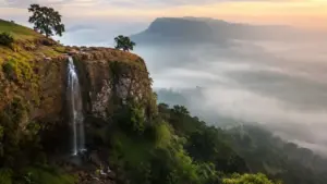 CG Tourism
