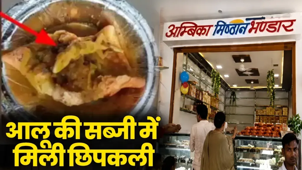 morena aloo sabji lizard