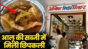 morena aloo sabji lizard