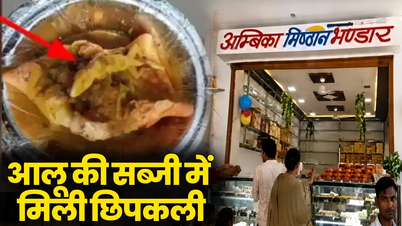 morena aloo sabji lizard