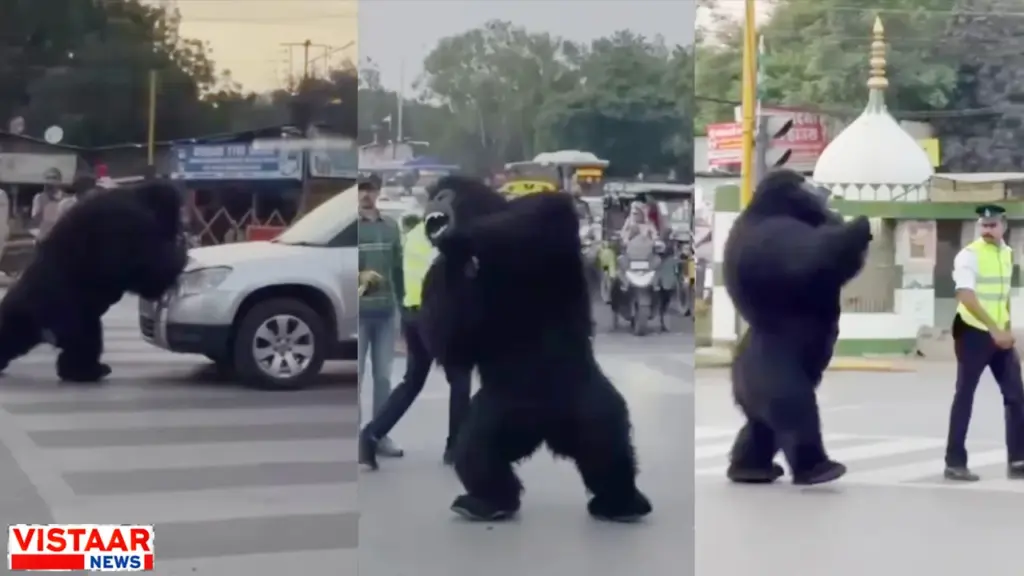 indore: gorilla take charge traffic rules palasia square video viral police
