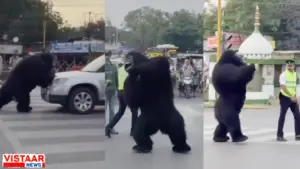 indore: gorilla take charge traffic rules palasia square video viral police