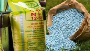 madhya pradesh government has banned sale of fertilizers