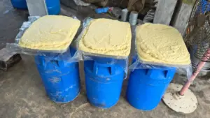 morena: Adulterated food items seized