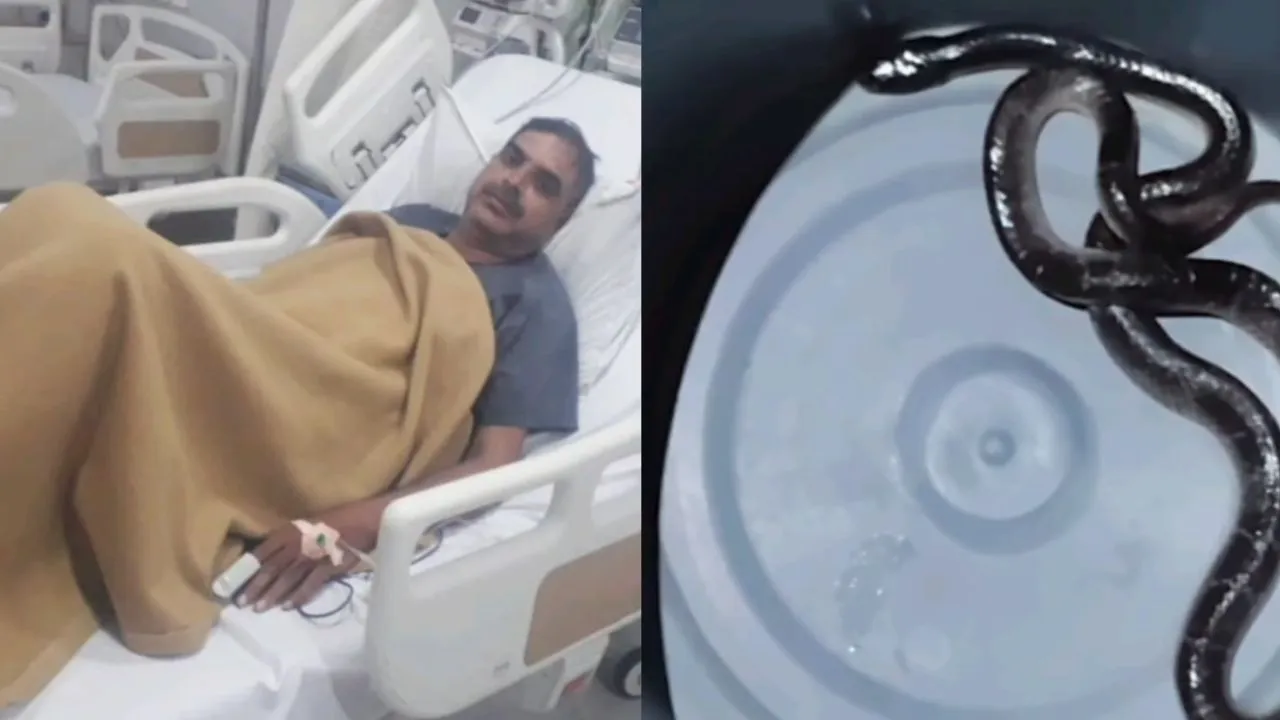 Head Constable bitten by snake timely treatment received with AI help
