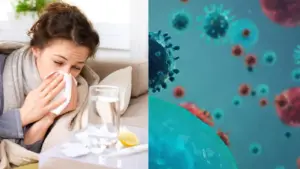 swine flu