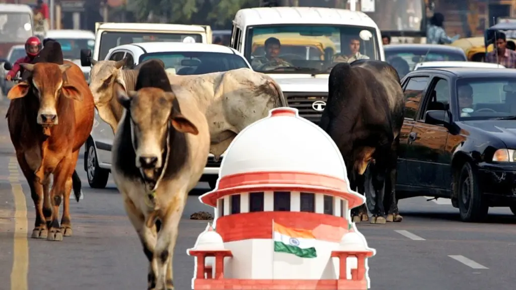 supreme court on stray animals