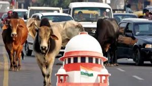supreme court on stray animals