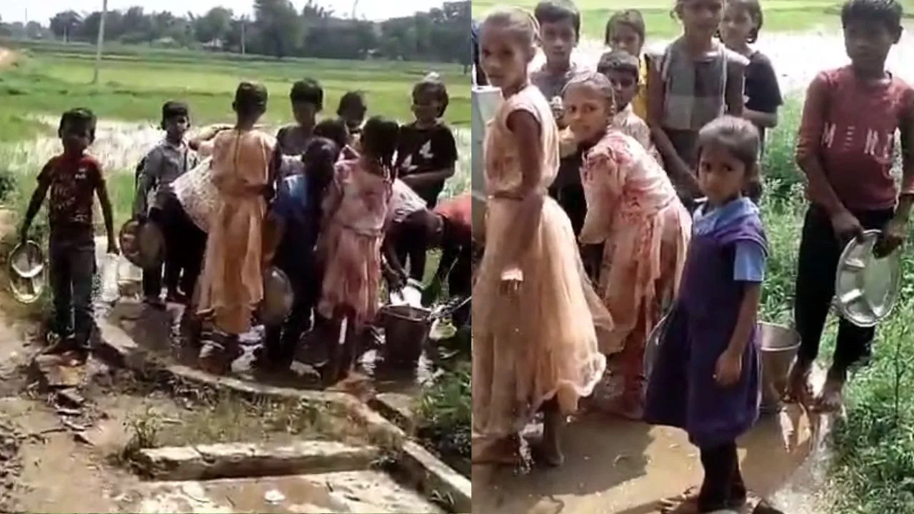 The children washed their plates at school after the meal.