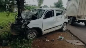 The car collided with a tree.