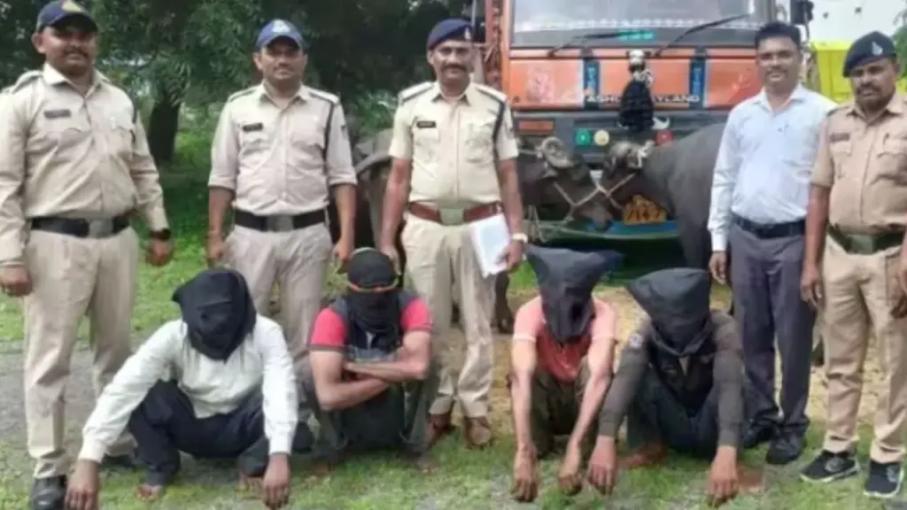 The police arrested four accused.