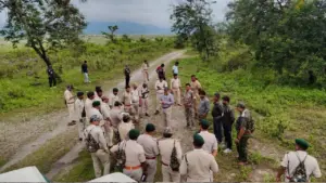 MP forest worker (file photo)