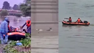 SDERF rescued three dogs.