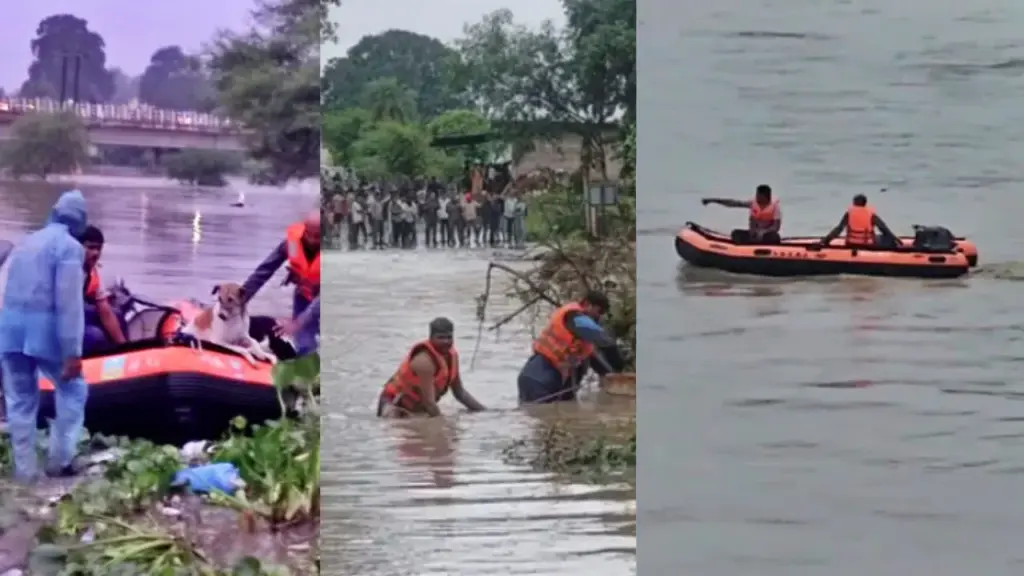 SDERF rescued four people and seven cattle stranded in Pathariya village.