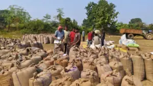 Bastar Paddy Procurement Centres