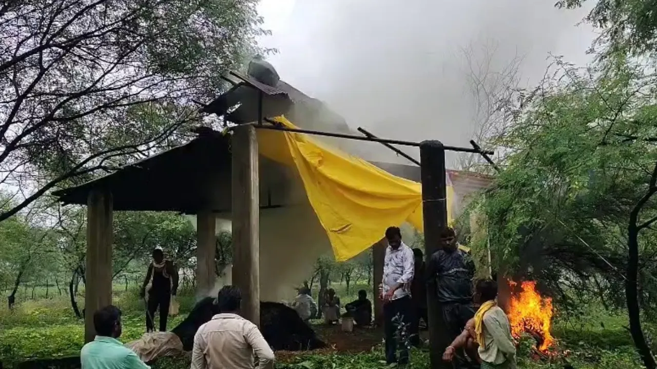 Bemetara News