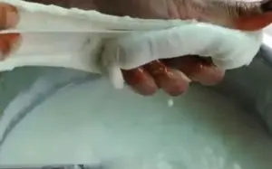 milk viral video