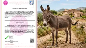 MPNRC Donkey Nursing Certificate
