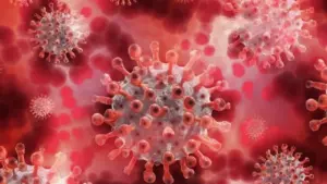 Gwalior Lumpy Virus