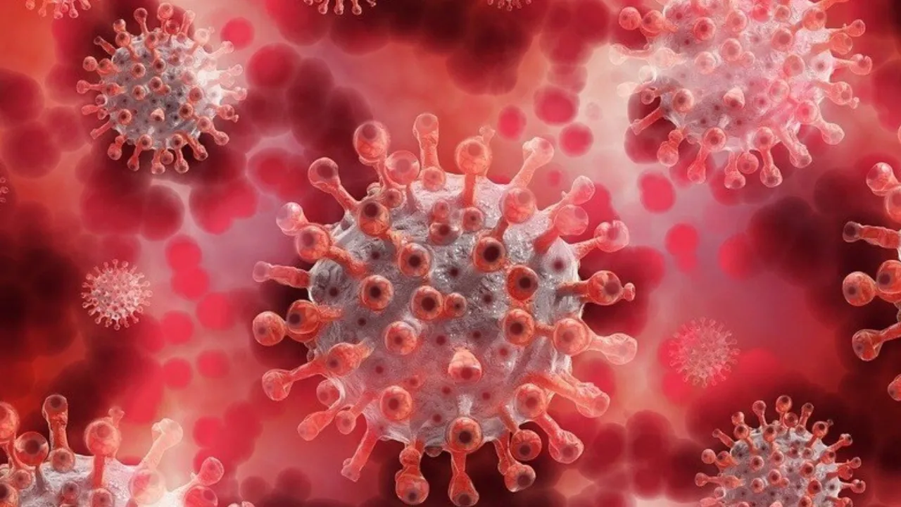 Gwalior Lumpy Virus