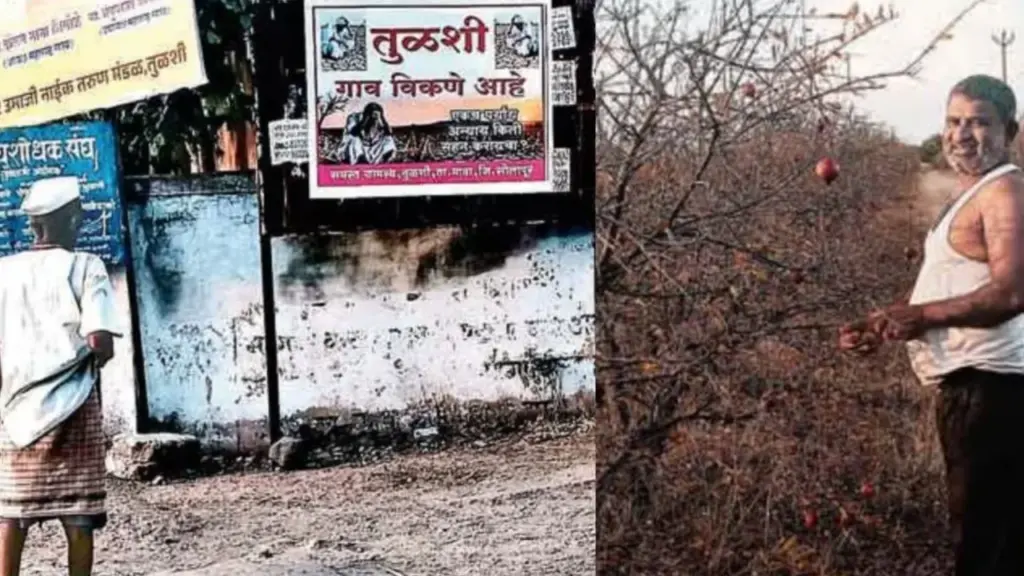 Tulshi Solapur Village Sale Posters