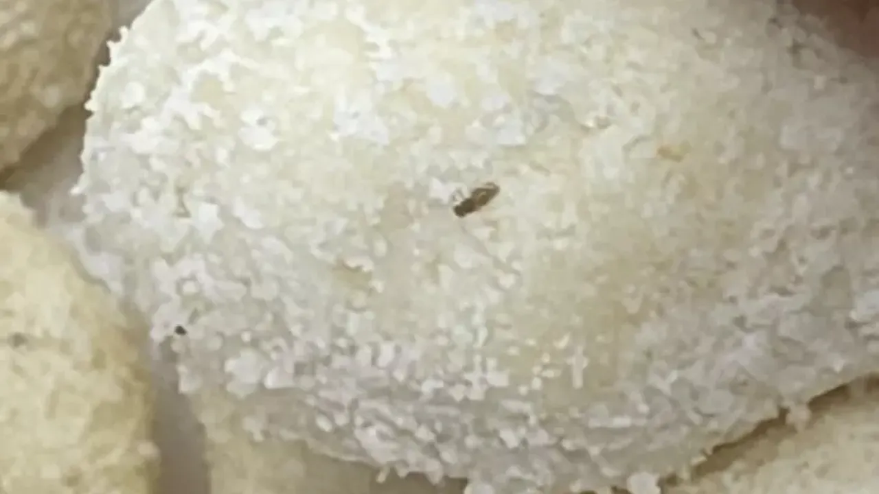 Ujjain Sweet Worms Found