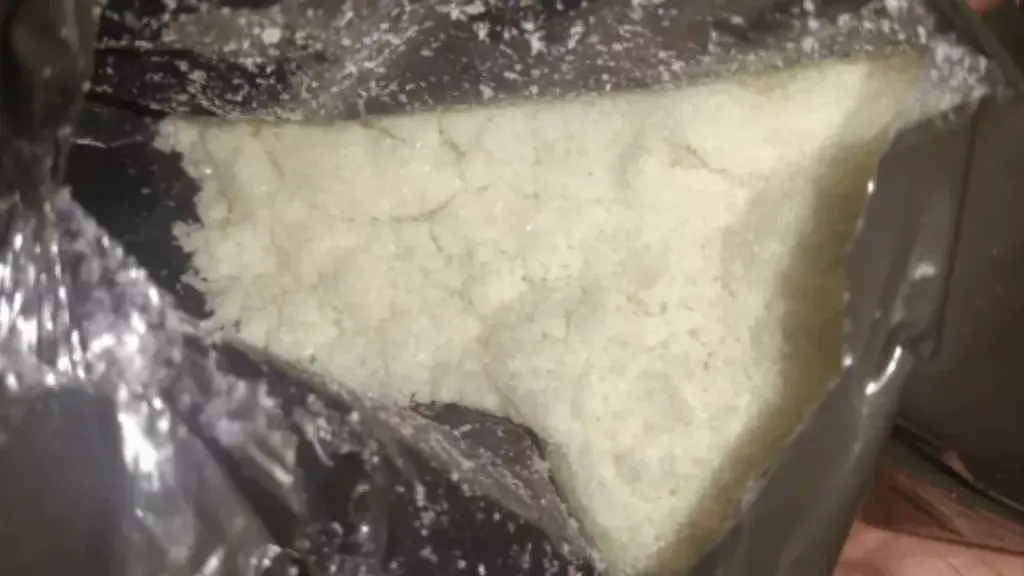 bhopal drug bust