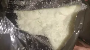 bhopal drug bust